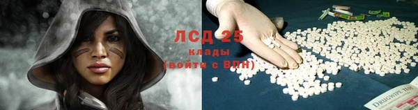 ГАЛЛЮЦИНОГЕННЫЕ ГРИБЫ Белоозёрский