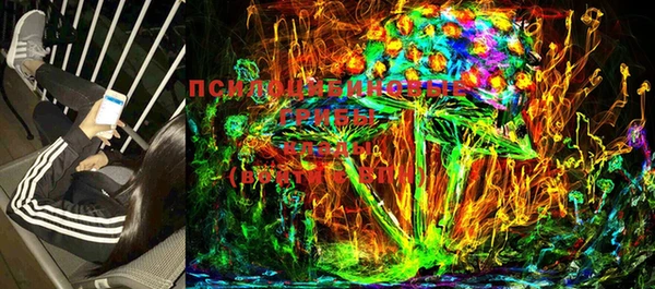ГАЛЛЮЦИНОГЕННЫЕ ГРИБЫ Белоозёрский