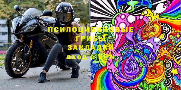 ГАЛЛЮЦИНОГЕННЫЕ ГРИБЫ Белоозёрский