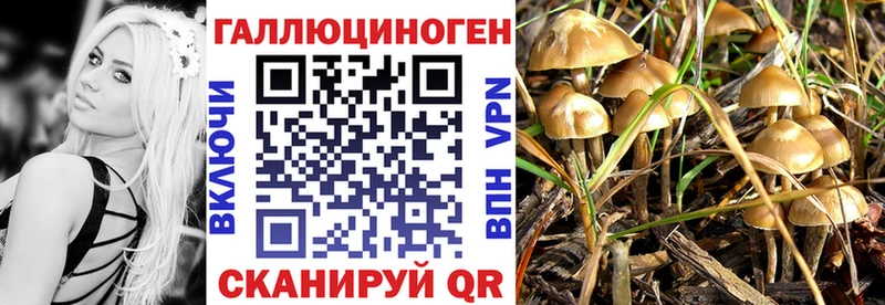 Галлюциногенные грибы прущие грибы Буинск