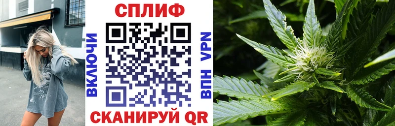 Шишки марихуана сатива  mega tor  Буинск 